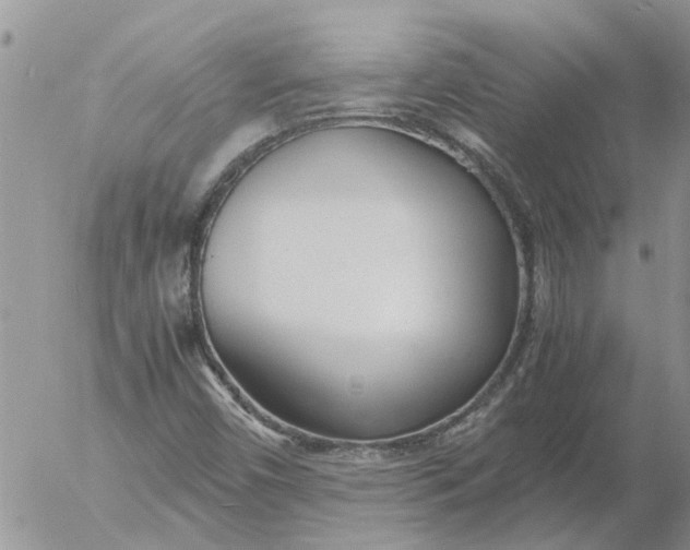 X0000053071450200508011928