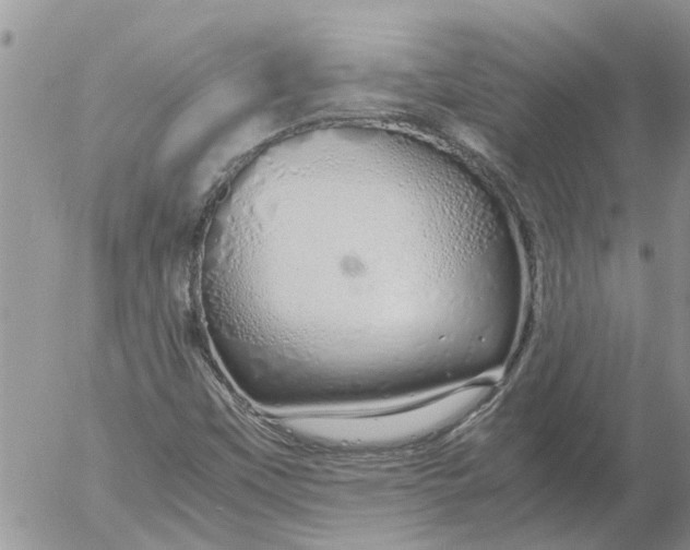 X0000053071451200508011928