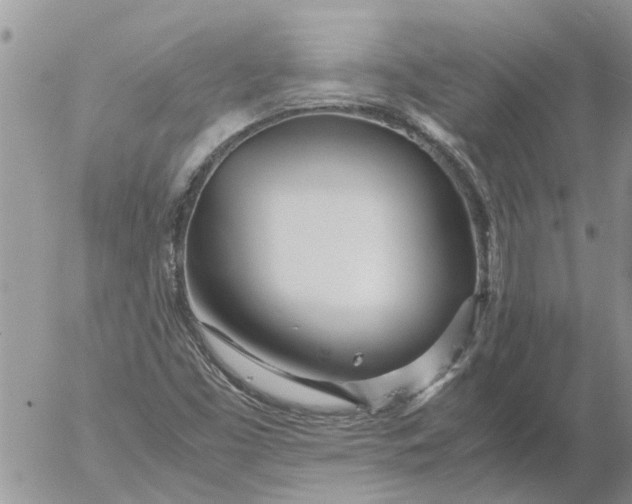 X0000053071453200508011927