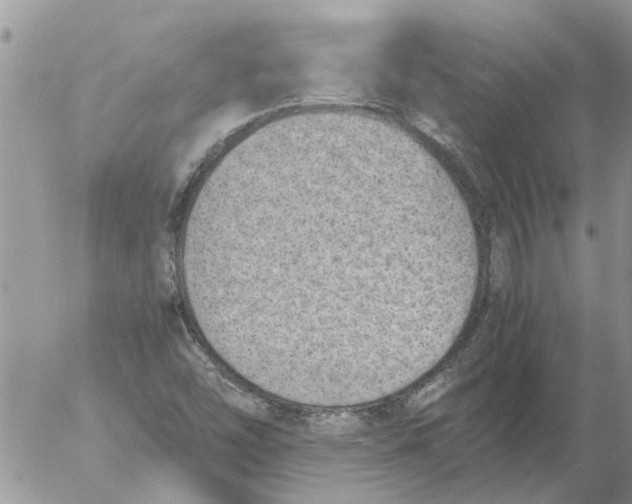 X0000053071454200508011927