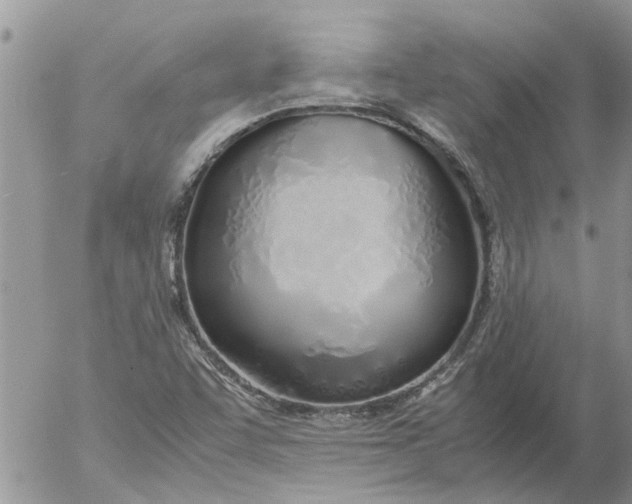 X0000053071455200508011927