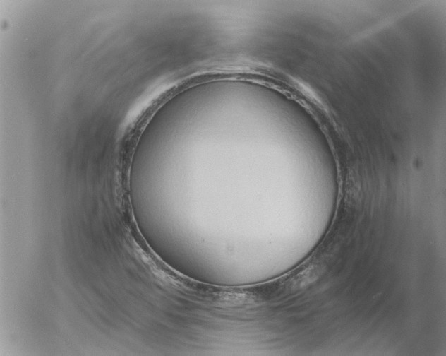 X0000053071456200508011927