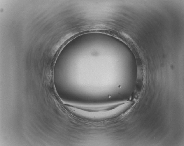 X0000053071457200508011927