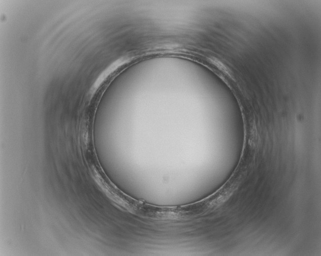 X0000053071458200508011927