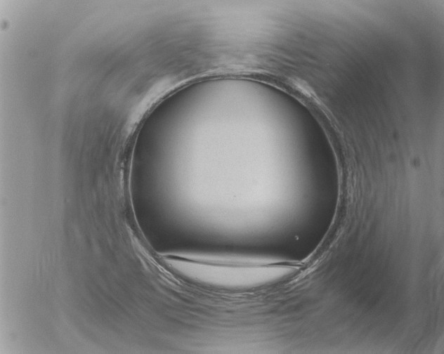 X0000053071459200508011927