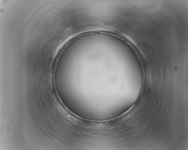 X0000053071460200508011927