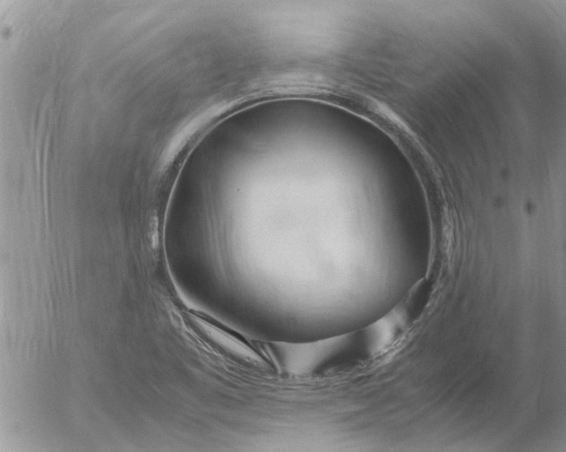 X0000053071461200508011927