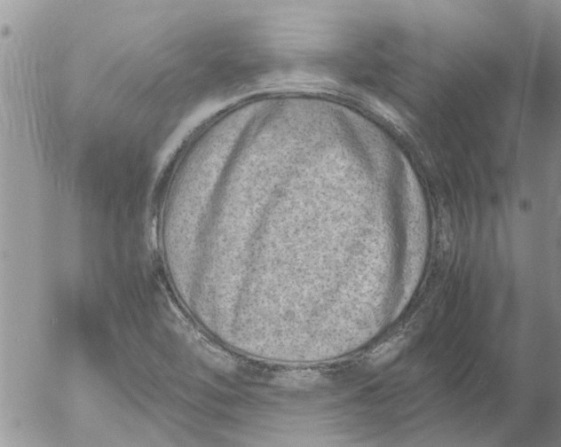 X0000053071462200508011927