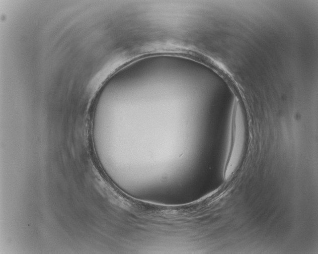 X0000053071463200508011927