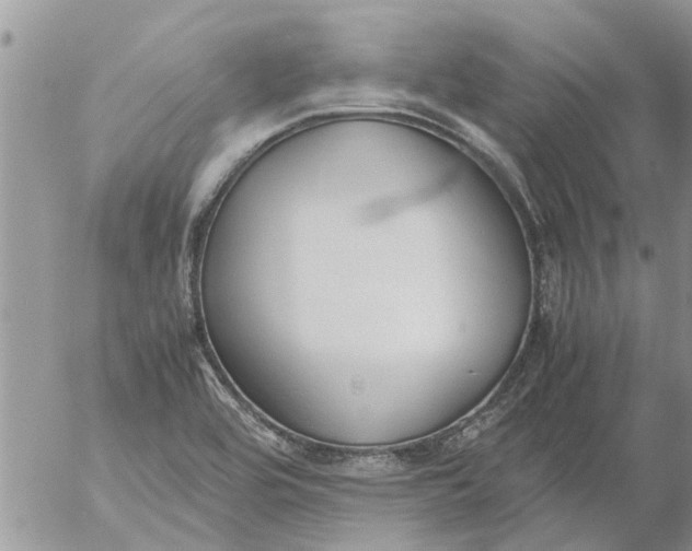 X0000053071464200508011927