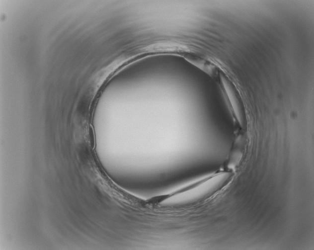 X0000053071465200508011927