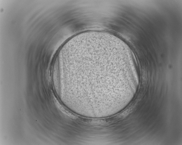 X0000053071466200508011927