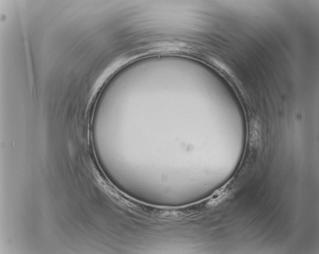 X0000053071467200508011927