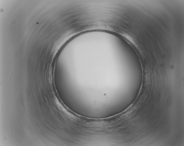 X0000053071468200508011927