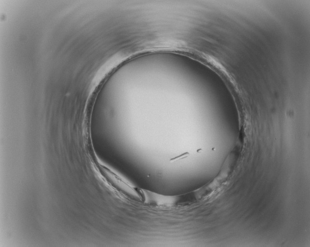 X0000053071469200508011927