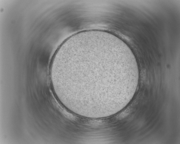 X0000053071470200508011927