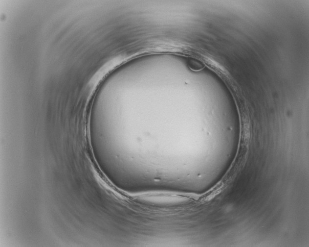 X0000053071471200508011927