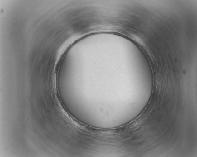 X0000053071472200508011927