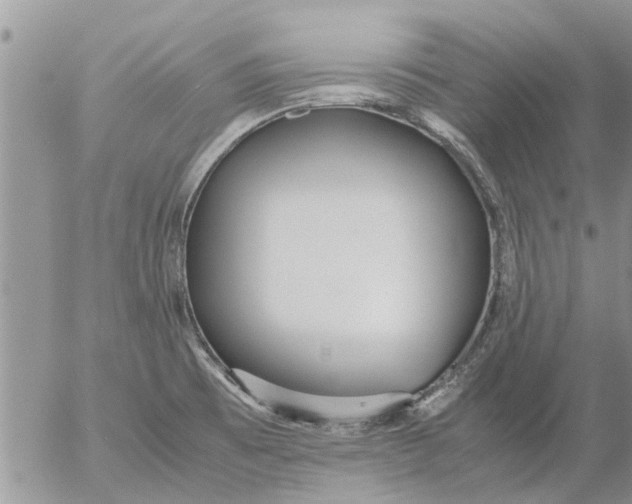 X0000053071473200508011927