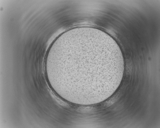 X0000053071474200508011927