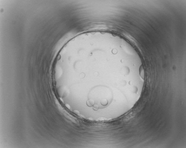 X0000053071475200508011927