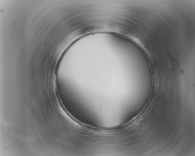 X0000053071476200508011927