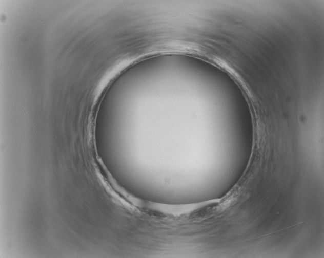 X0000053071477200508011927