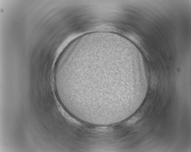 X0000053071478200508011927