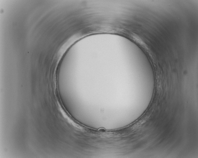 X0000053071479200508011927