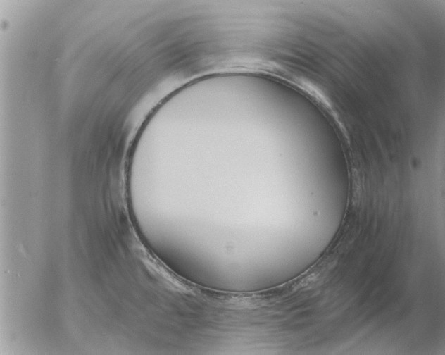 X0000053071480200508011927