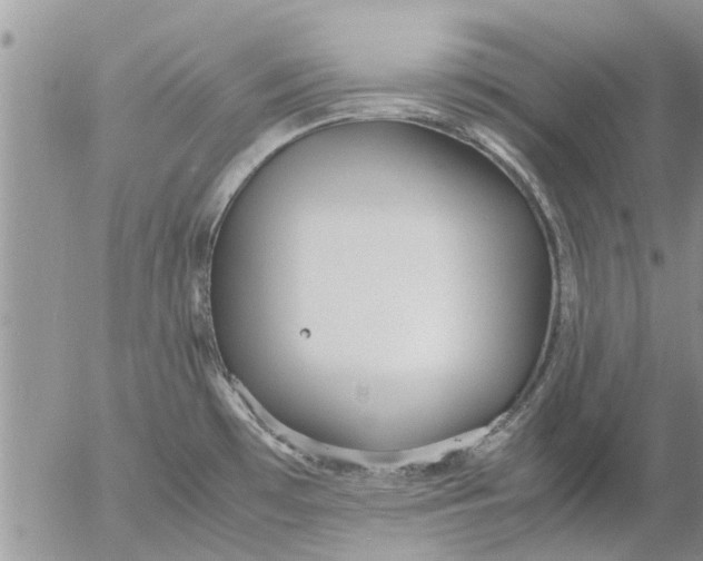 X0000053071481200508011927