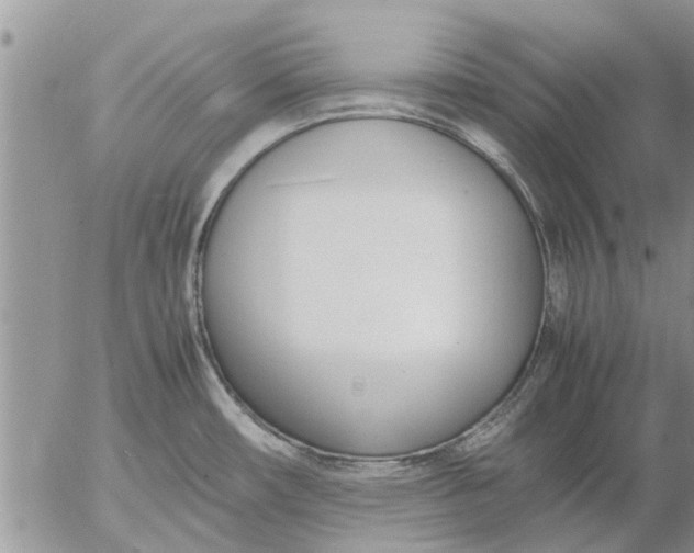 X0000053071482200508011927