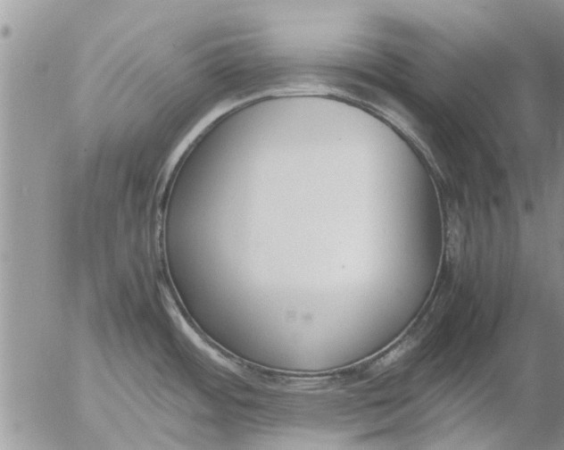 X0000053071484200508011927