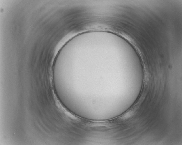 X0000053071486200508011927