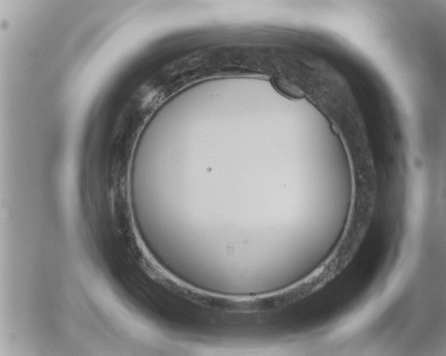 X0000053071487200508011927