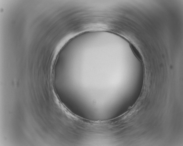 X0000053071488200508011927