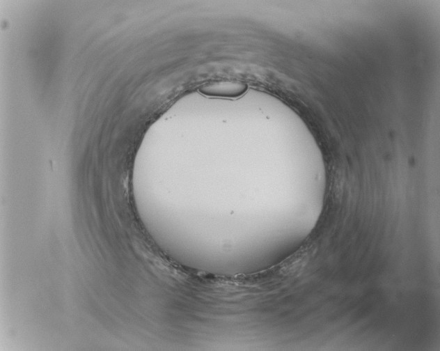 X0000053071489200508011926