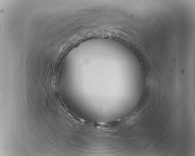 X0000053071490200508011926