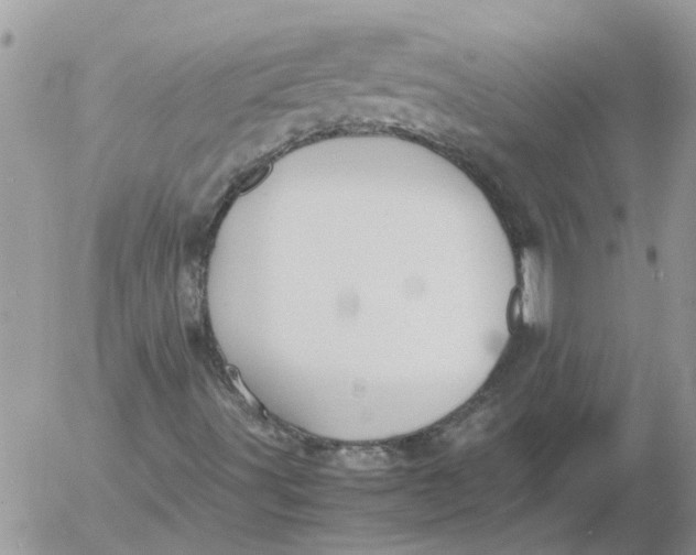 X0000053071491200508011926