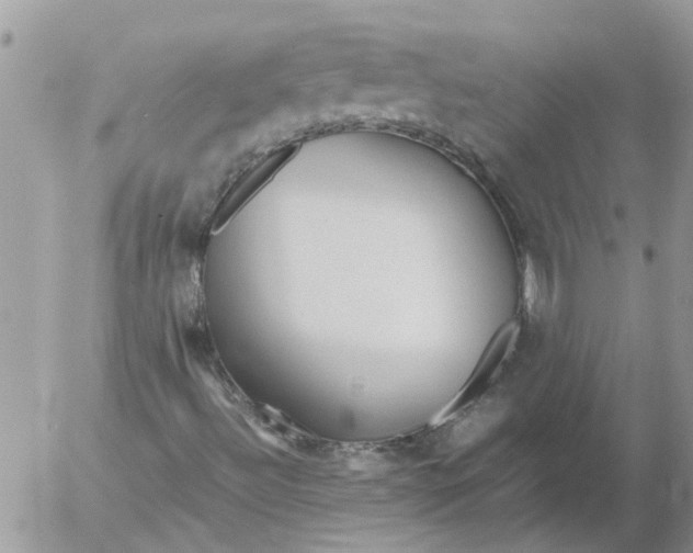 X0000053071492200508011926