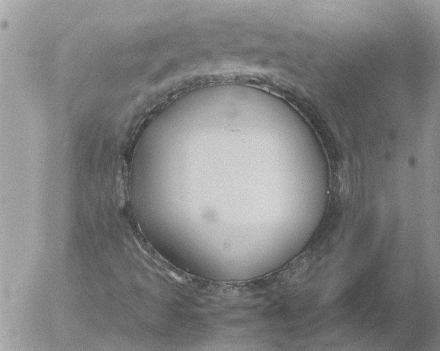 X0000053071493200508011926