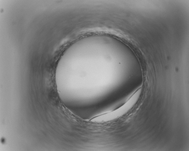 X0000053071494200508011926