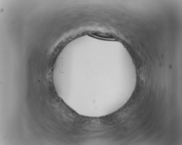 X0000053071495200508011926