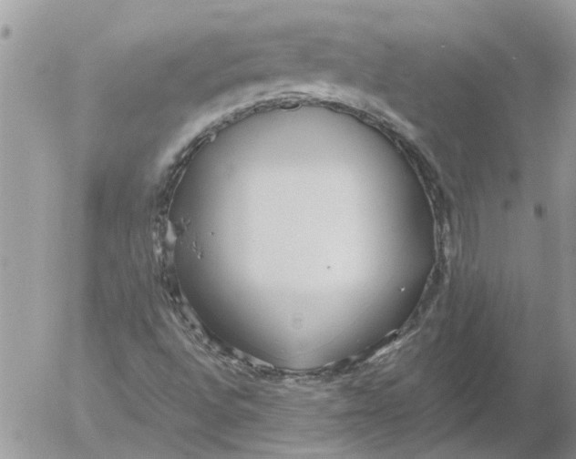 X0000053071496200508011926