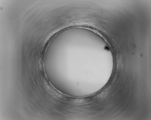 X0000053071497200508011926