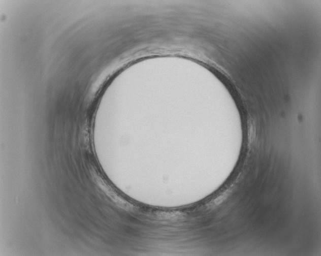 X0000053071498200508011926