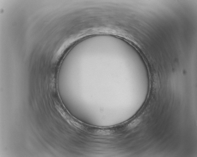 X0000053071499200508011926