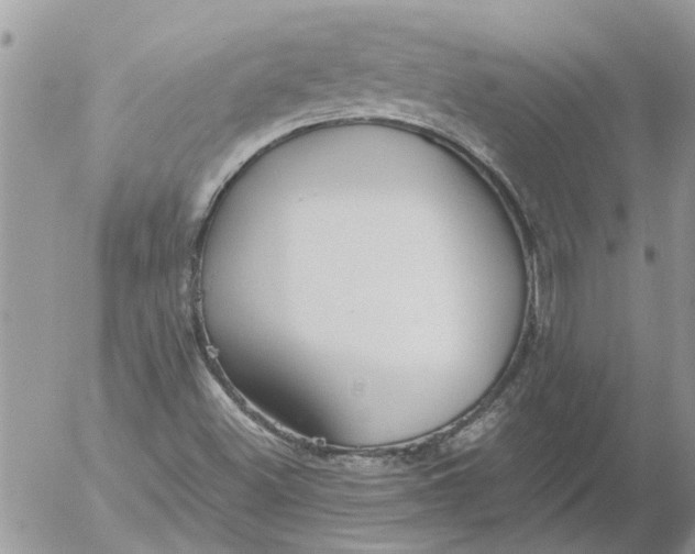 X0000053071500200508011926