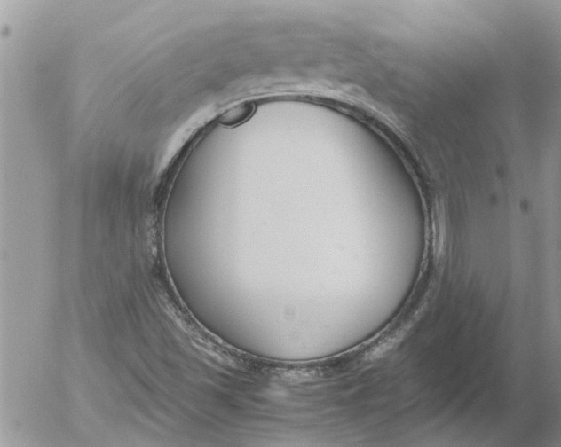 X0000053071501200508011926