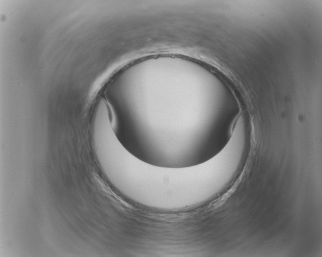 X0000053071502200508011926